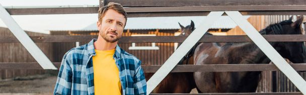 colheita panorâmica do agricultor em camisa quadriculada olhando para a câmera enquanto está perto curral com cavalos - Foto, Imagem