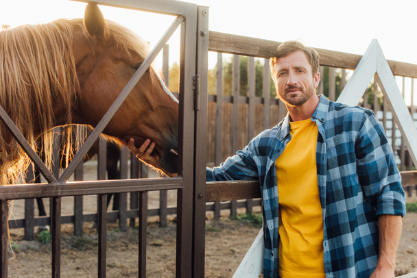 фермер в клетчатой рубашке смотрит в камеру, дотрагиваясь до головы коричневой лошади в загоне - Фото, изображение