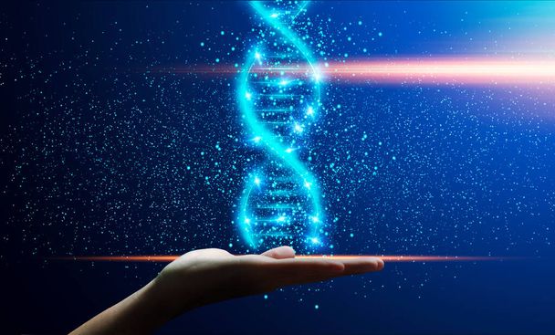 Человеческая генетика. Блестящая спираль ДНК в мужской руке на темно-синем фоне, коллаж - Фото, изображение
