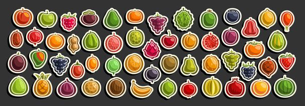 Conjunto vectorial de frutas frescas, grupo de frutas y bayas de dibujos animados cortados, varias etiquetas de frutas de diseño mínimo para bebidas dulces o helados, colección de iconos simples veganos aislados sobre fondo negro. - Vector, Imagen