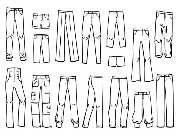 женские брюки
 - Вектор,изображение