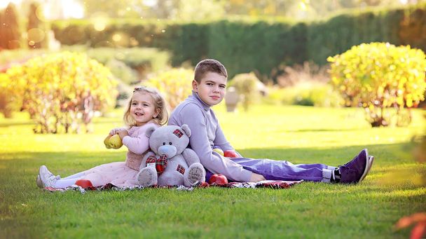Banner gyerekekkel a parkban. Testvér és kishúga játék szürke medve ülnek a füven.Piknik almával és körtével. Gyerekszórakoztatás. Meleg őszi nap. Őszi koncepció.  - Fotó, kép