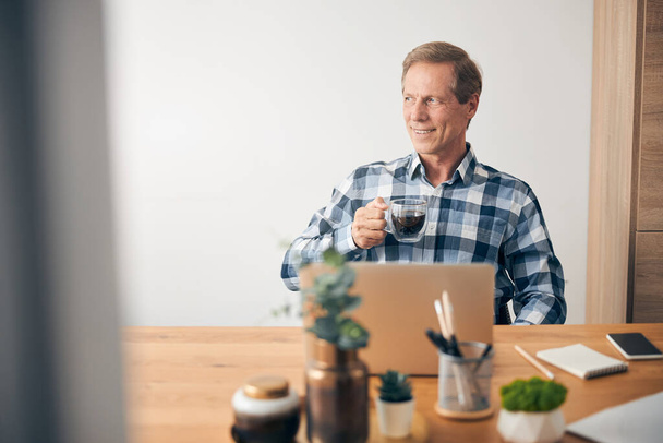 Handsome mature man sitting in front of computer - Photo, Image