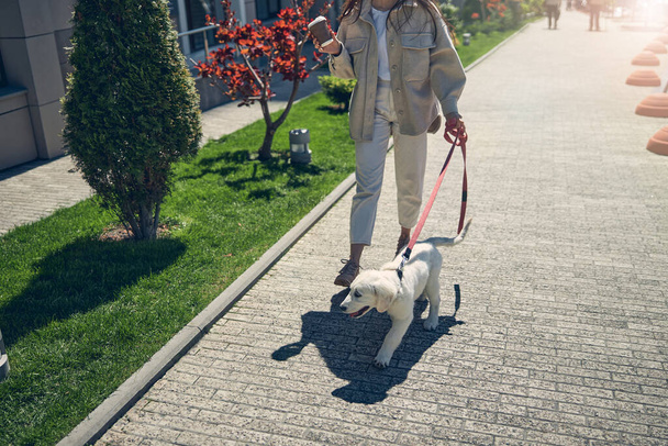 Vrouw met een kopje koffie wandelen haar huisdier - Foto, afbeelding