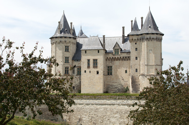 Castillo de Saumur en el valle del Loira, Francia
 - Foto, Imagen