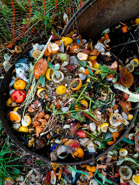 Kompost wyprodukowany z ekologicznej żywności - Zdjęcie, obraz