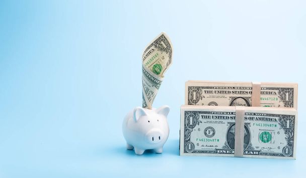 Sparschwein und Stapel Dollarnoten auf blauem Hintergrund, Spar- und Anlagekonzept - Foto, Bild