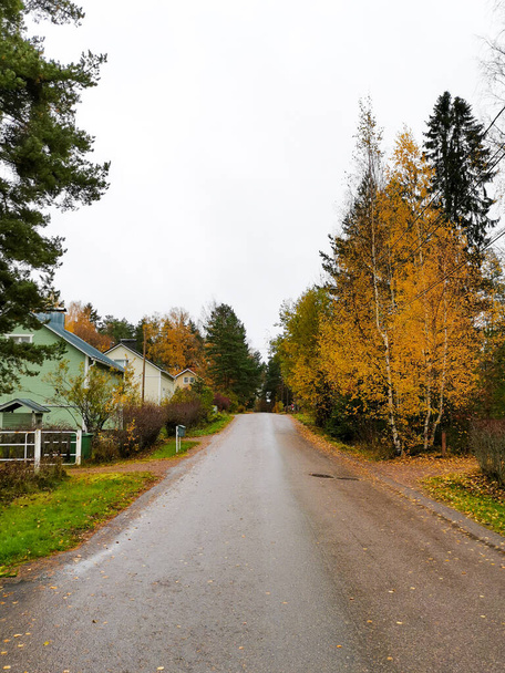 Carretera entre árboles y casas - Foto, Imagen