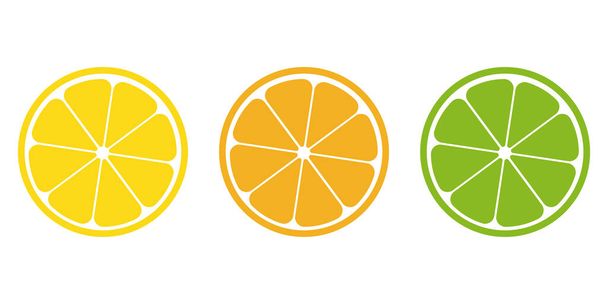 Citrus slice icon set, vector tropical fruit. - Vektori, kuva