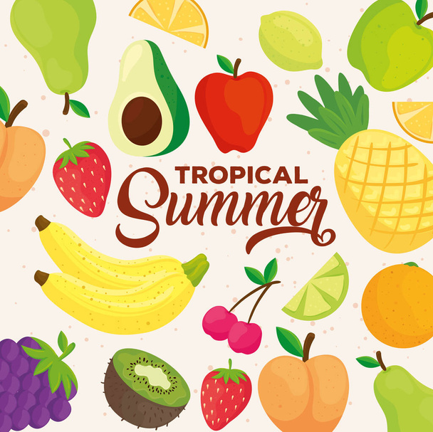 trooppinen kesälippu, tuoreet hedelmät - Vektori, kuva