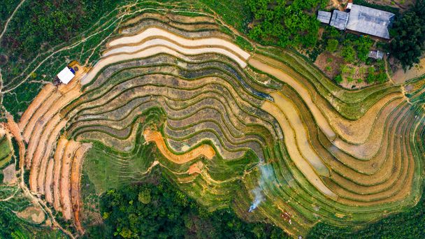 Aerial top view of paddy rice terraces, green agricultural fields in countryside or rice field terraces. Mountain view in the clouds in Sapa, Lao Cai Province, Vietnam in Asia - Valokuva, kuva
