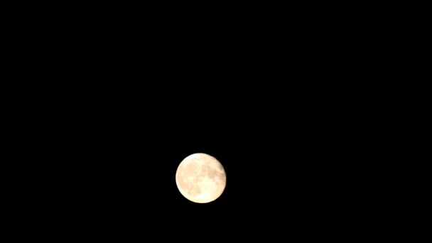 Kirkkaan vaaleankeltainen kuu nousee pimeällä yötaivaalla. Mystinen yö musta taivas suuri kuu, tumma hiljaisuus - Materiaali, video
