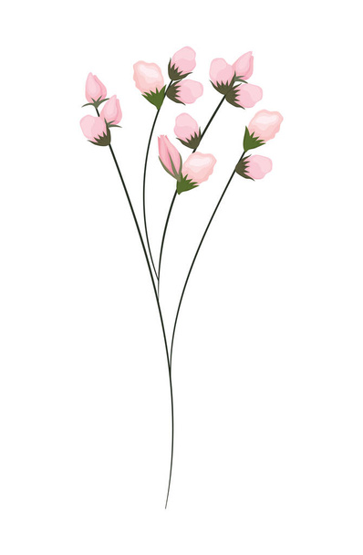 różowy pąki kwiaty bukiet malarstwo wektor projekt - Wektor, obraz