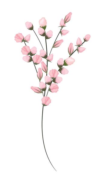 pink buds flowers bouquet painting vector design - Vector, Image