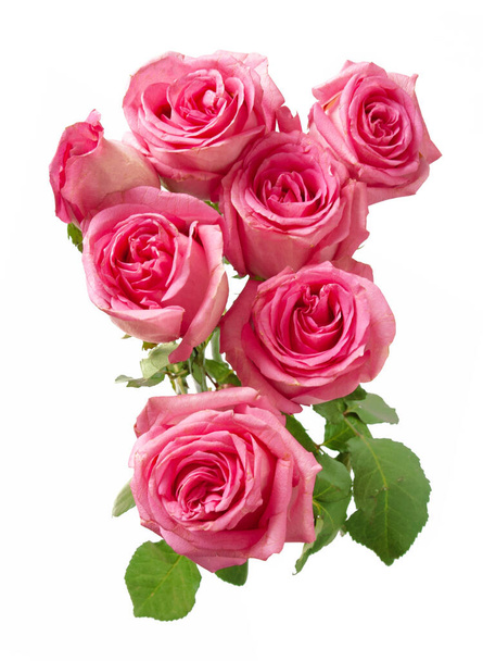 Beautiful roses bunch isolated on white background - Φωτογραφία, εικόνα