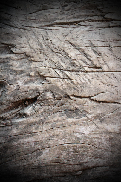staré dřevo - Fotografie, Obrázek