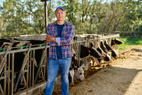 Éleveur masculin dans une ferme vaches. - Photo, image