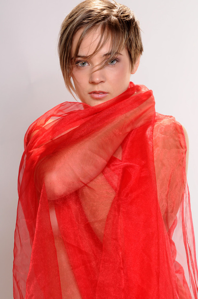 Tissu rouge
 - Photo, image