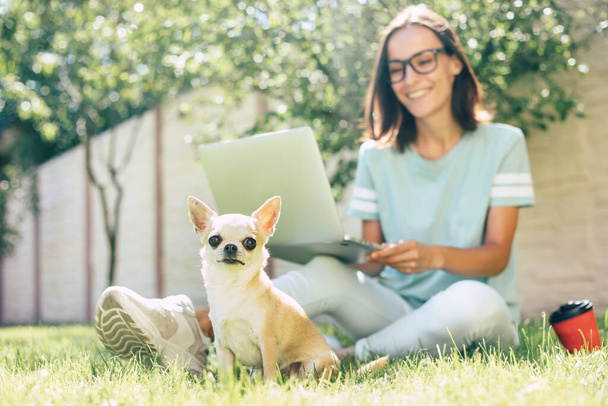 Beautiful happy young freelance woman with her little cute dog is working on a laptop outdoor. - Fotoğraf, Görsel