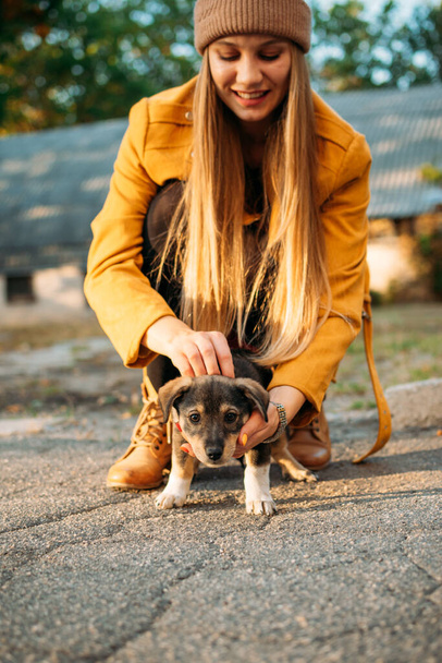 Mulher voluntária encontrando filhotes de cachorro cão sem-teto no fundo da natureza outono. Pet amor, cuidar de um animal de estimação e conceito de adoção animal. - Foto, Imagem