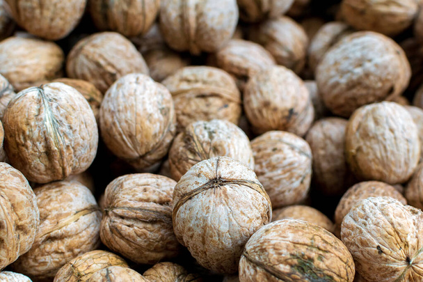 walnuts nuts under hard sun. Top view. Background for seasonal, vegan and healthy eating. - Фото, зображення