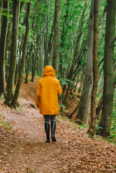 donna in impermeabile giallo a piedi dalla foresta pluviale. vista posteriore. copia spazio - Foto, immagini