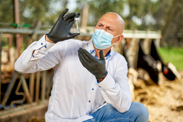 Ветеринар мужского пола на ферме проводит анализ - Фото, изображение