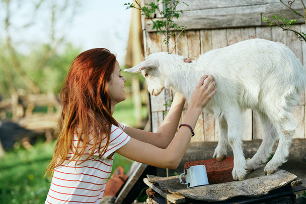 woman with cute  little baby goat on the farm - Photo, image