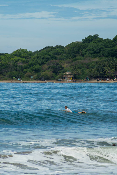 Surfer on the sea, palm trees on the background, blue sky. Arugam Bay, Sri Lanka. Portrait format - 写真・画像