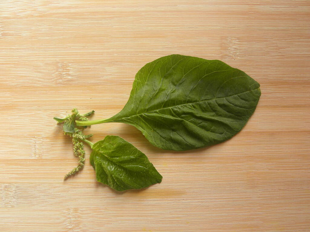 Зелений колір свіжий Амарантус листя - Фото, зображення
