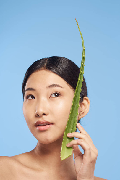 Young beautiful asian woman posing  with aloe vera leaf   - Fotografie, Obrázek