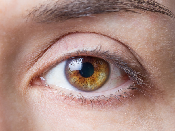 Closeup of female natural brown eye without makeup - Foto, Imagen