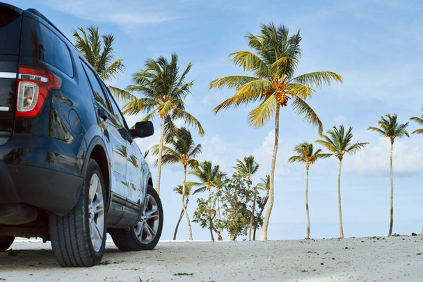         voiture sur la belle plage avec palmiers                          - Photo, image