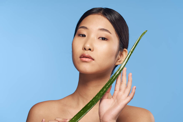 Giovane bella donna asiatica in posa con foglia di aloe vera   - Foto, immagini