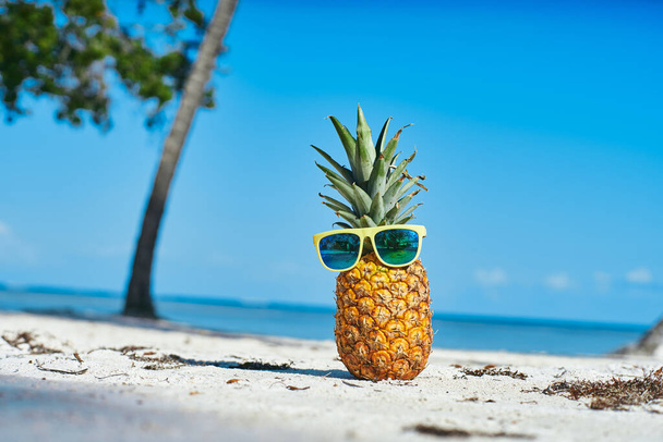 pineapple and sunglasses on the tropical beach                    - Photo, Image