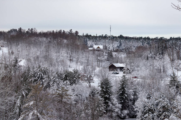 農村、森林地帯は雪に覆われた木や木の構造、家や納屋を示しています。背後に通信塔があり、道路には赤いトラックが見える。. - 写真・画像