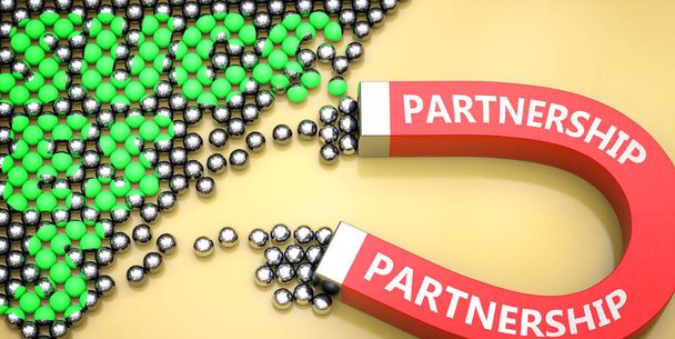 Partnerschap trekt succes - afgebeeld als woord Partnerschap aan een magneet om te symboliseren dat Partnerschap kan leiden tot of bijdragen tot succes in werk en leven, 3d illustratie - Foto, afbeelding