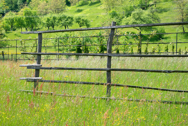 Starý dřevěný plot na venkově. close-up - Fotografie, Obrázek