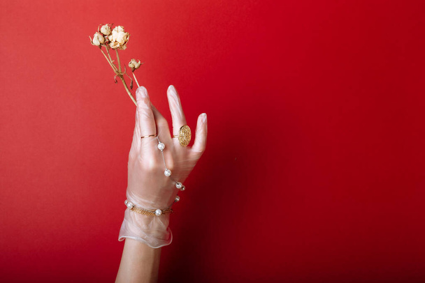 Fashion art hand woman in the glove with Jewelry in summer time and flowers behind her hand with bright contrasting makeup. Creative beauty photo hand skincare. - Photo, Image