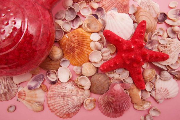 red starfish lies on the colorful shells - Zdjęcie, obraz