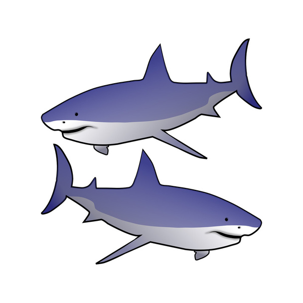 tiburones
 - Foto, imagen