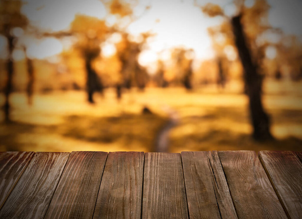 Güzel sonbahar parkında boş bir tahta masa. - Fotoğraf, Görsel