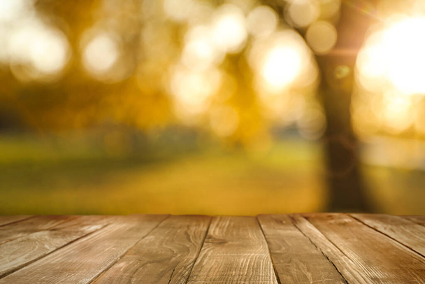 Mesa de madera vacía en el parque de otoño en un día soleado - Foto, Imagen