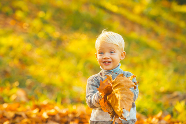 Autumn portrait of cute little caucasian boy. Kids in autumn park on yellow leaf background. - Fotografie, Obrázek