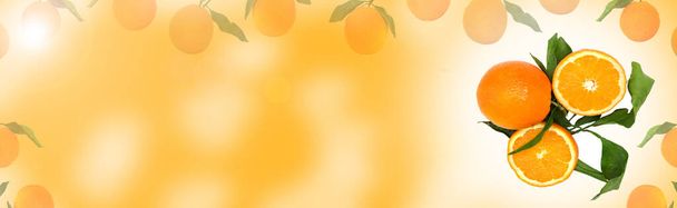 Świeże owoce cytrusowe Pomarańczowe tło.Długi format internetowy na baner.  - Zdjęcie, obraz