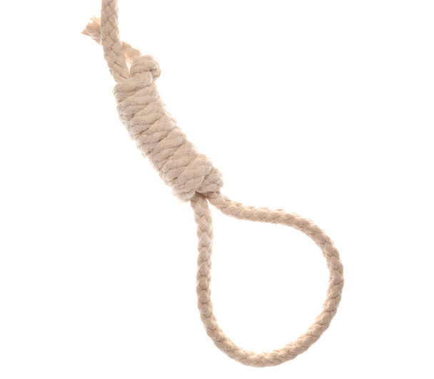 Rope with loop on white background - Photo, Image