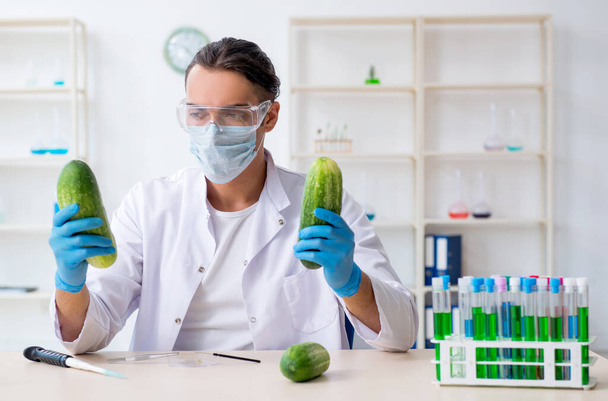 Male nutrition expert testing vegetables in lab - Photo, Image
