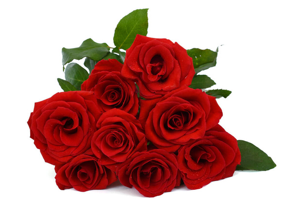 beautiful red rose flowers isolated on white background - Photo, Image