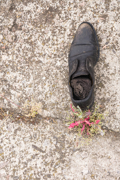 Vista frontal de par de botas velhas - Foto, Imagem