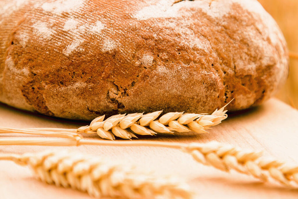 Close up fresh bread and wheat as symbol of food and agriculture. Horizontal image. - Photo, image